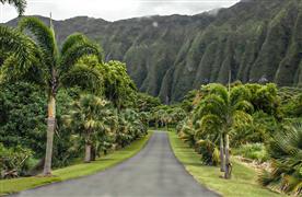 hawaii nature is a destination for health tourism